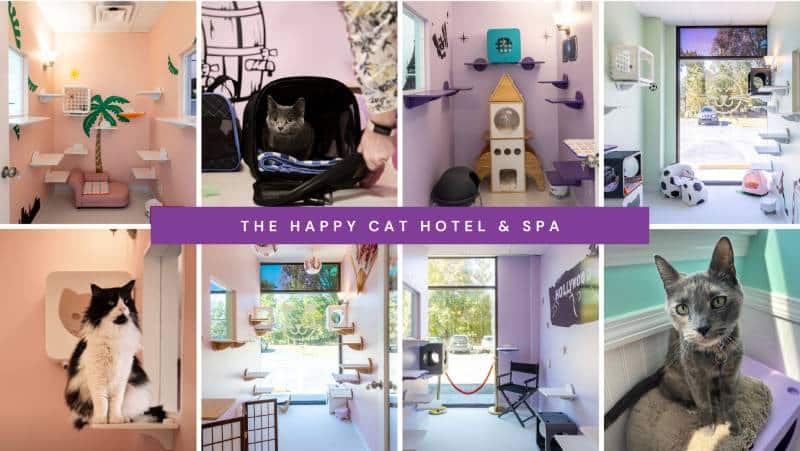 Happy Cat Hotel & Spa Collage