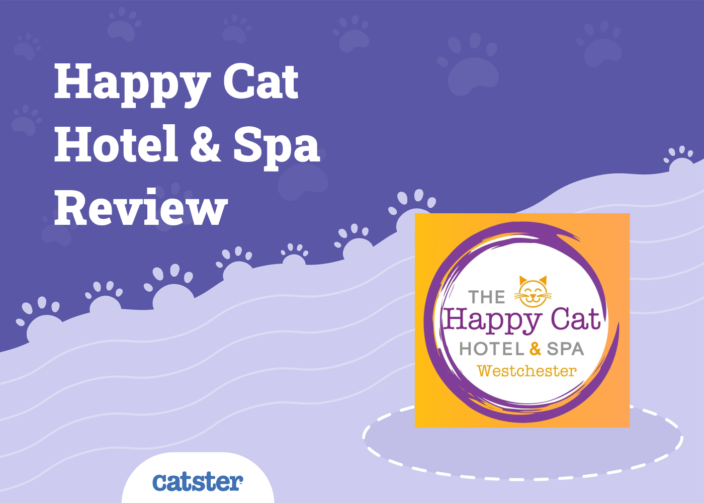 Happy Cat Hotel & Spa Review