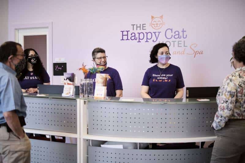 happy cat hotel front desk