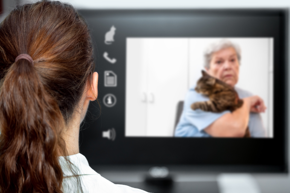 elderly woman and a cat on live chat with icons