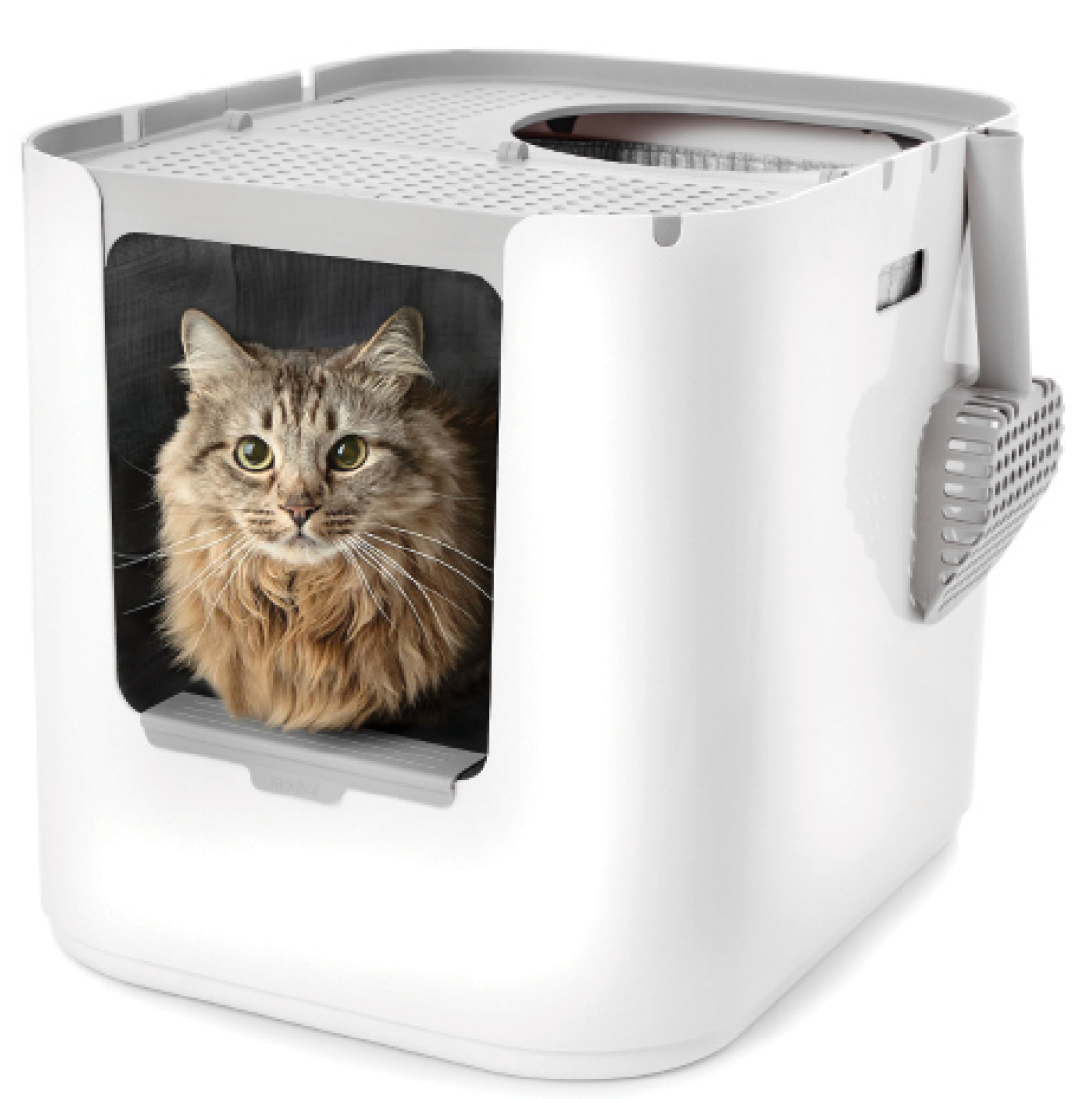 What's Cool in Litter Boxes Catster