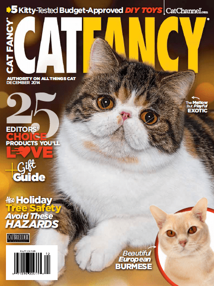 Cat Fancy print magazine