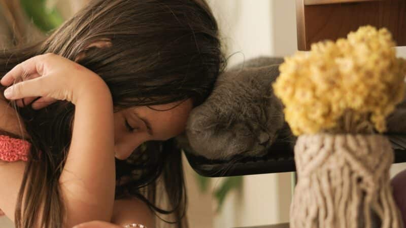 a little girl that is laying down next to a cat