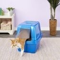 Van Ness Enclosed Sifting Cat Litter Box