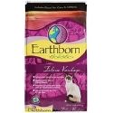 Earthborn Holistic Feline Vantage Natural Dry Cat Food