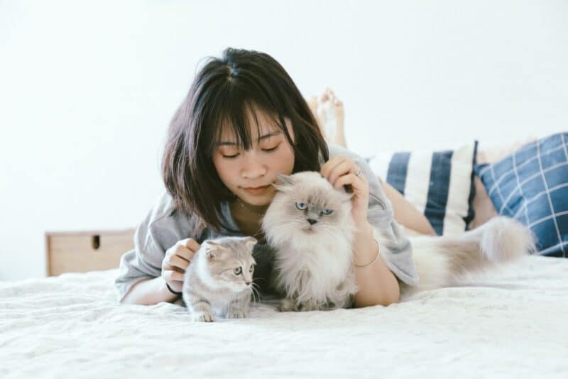 woman lying beside two cats, one older and one younger kitten