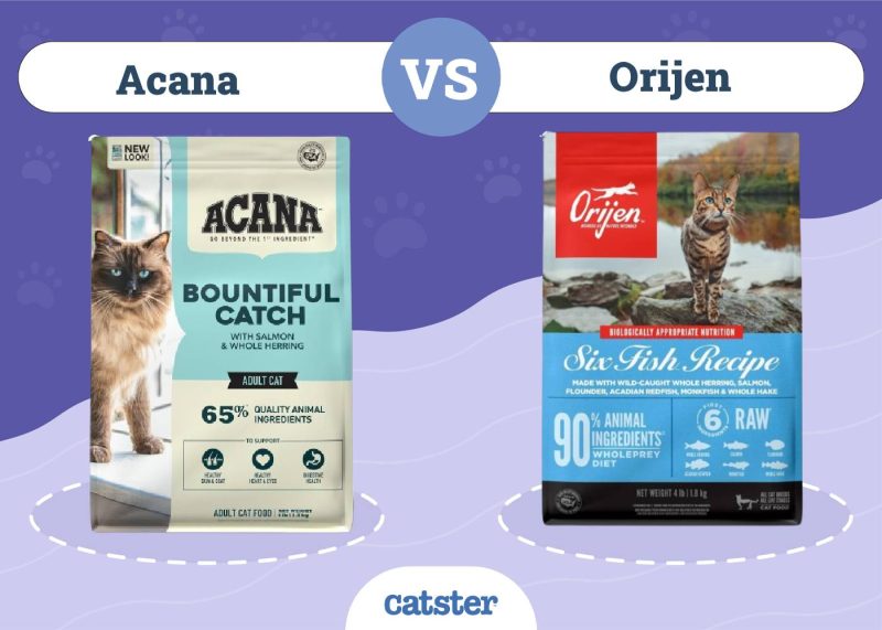 Acana VS Orijen