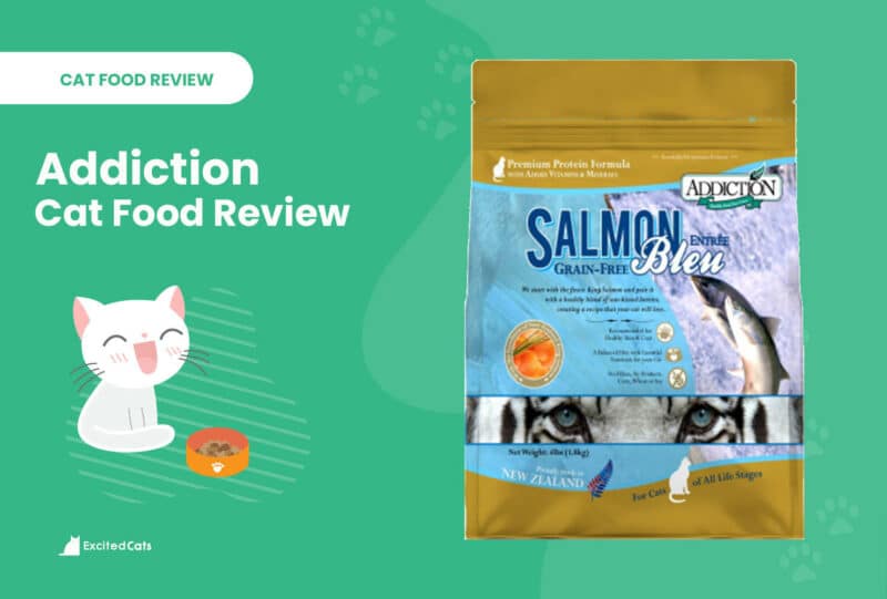 Addiction Cat Food review