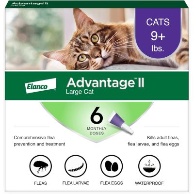 Advantage II Flea Treatment