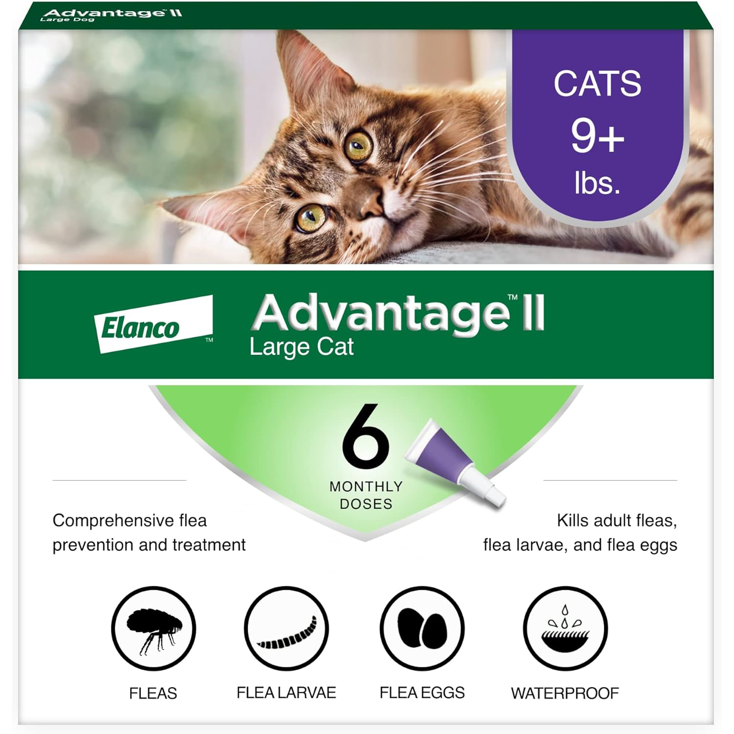 Advantage II Large Cat Vet-Recommended Flea Treatment & Prevention