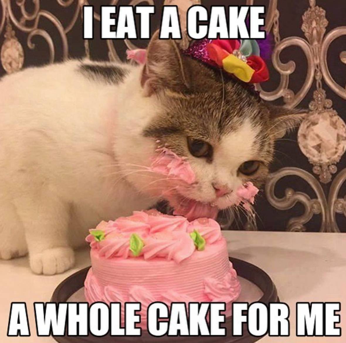 All the Cake