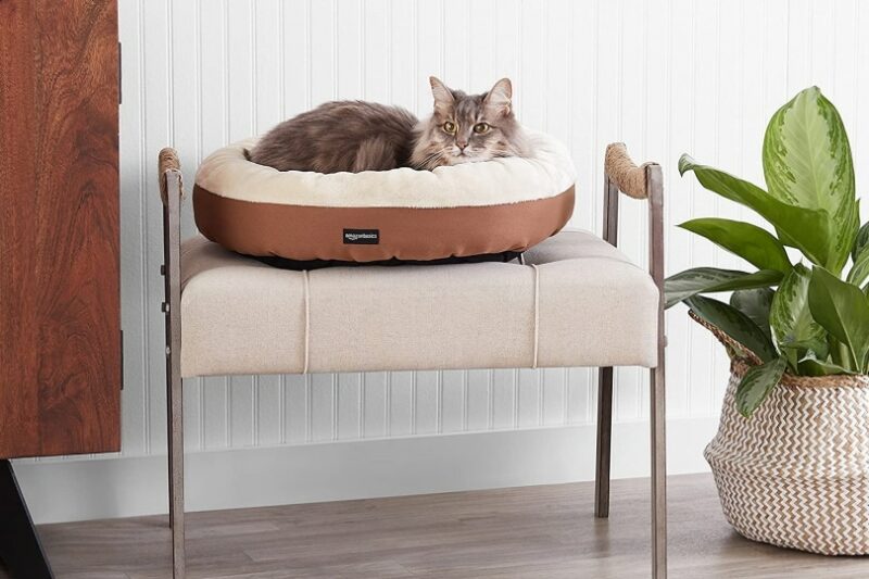 AmazonBasics Round Bolster Pet Bed