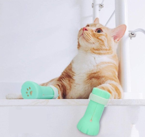 5 Best Cat Booties to Prevent Scratching in 2024 Reviews & Top Picks