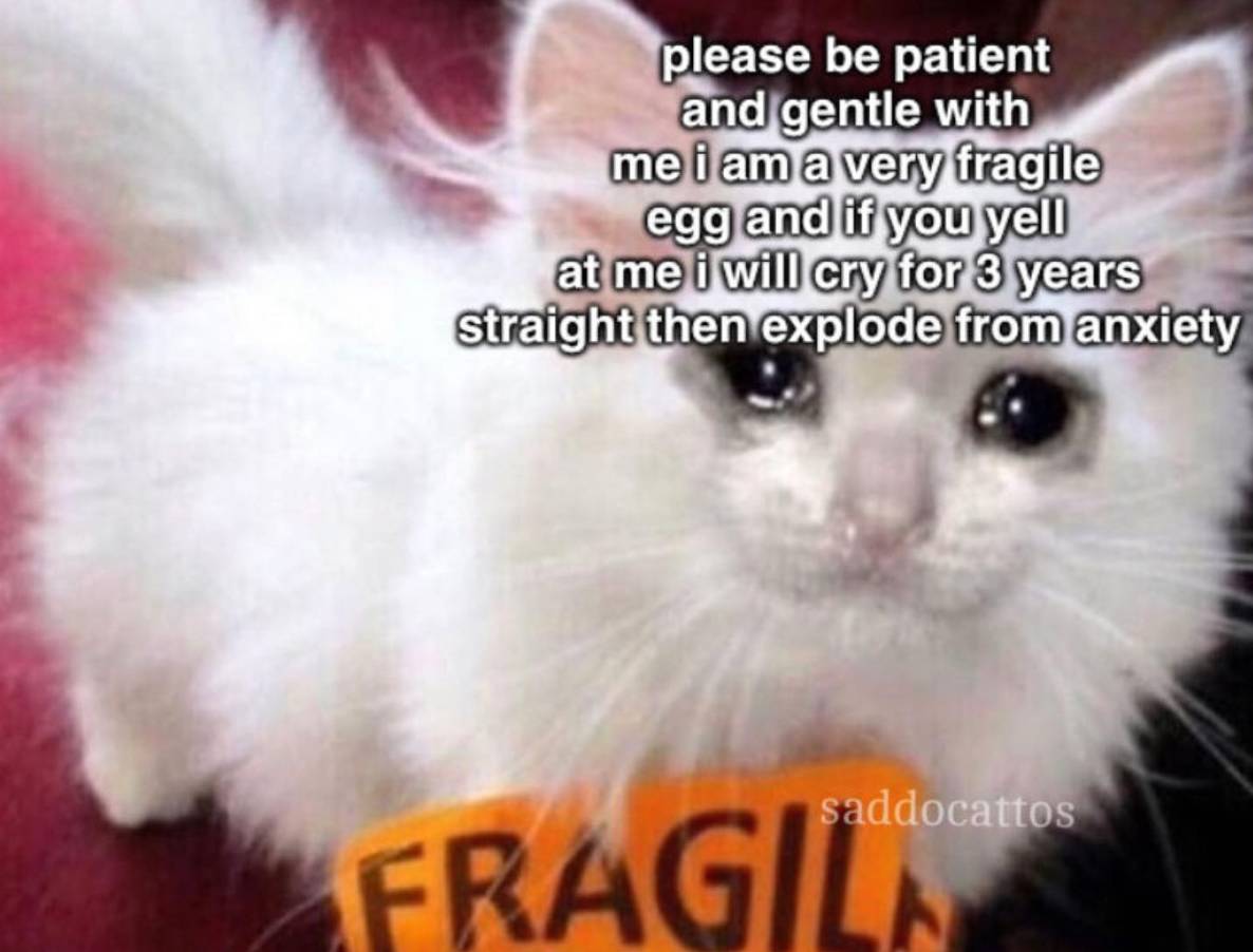 Anxious Cat