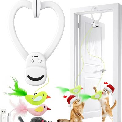 Aoioploa Interactive Flying Bird Cat Toy