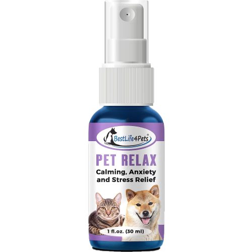 8 Best Cat Calming Sprays of 2024 Reviews & Top Picks Catster