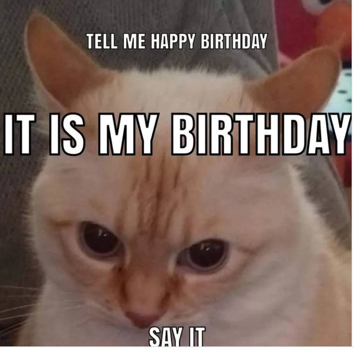Birthday Demand