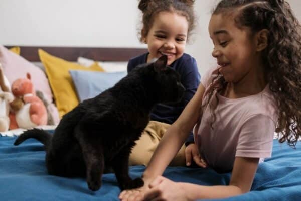 Black cat with paw on a girl's hand