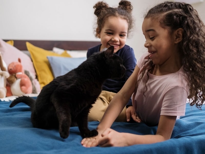 Black cat with paw on a girl's hand