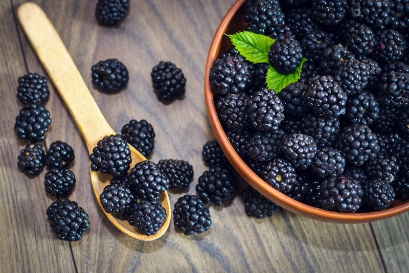 Blackberries in a bowl