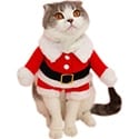 Bolbove Pet Christmas Santa Claus