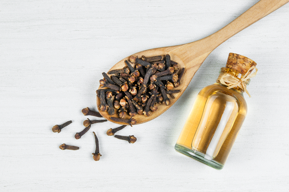Bottle of clove oil and dried cloves on a spoon
