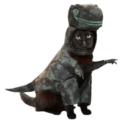 California Costumes Pupasaurus Rex