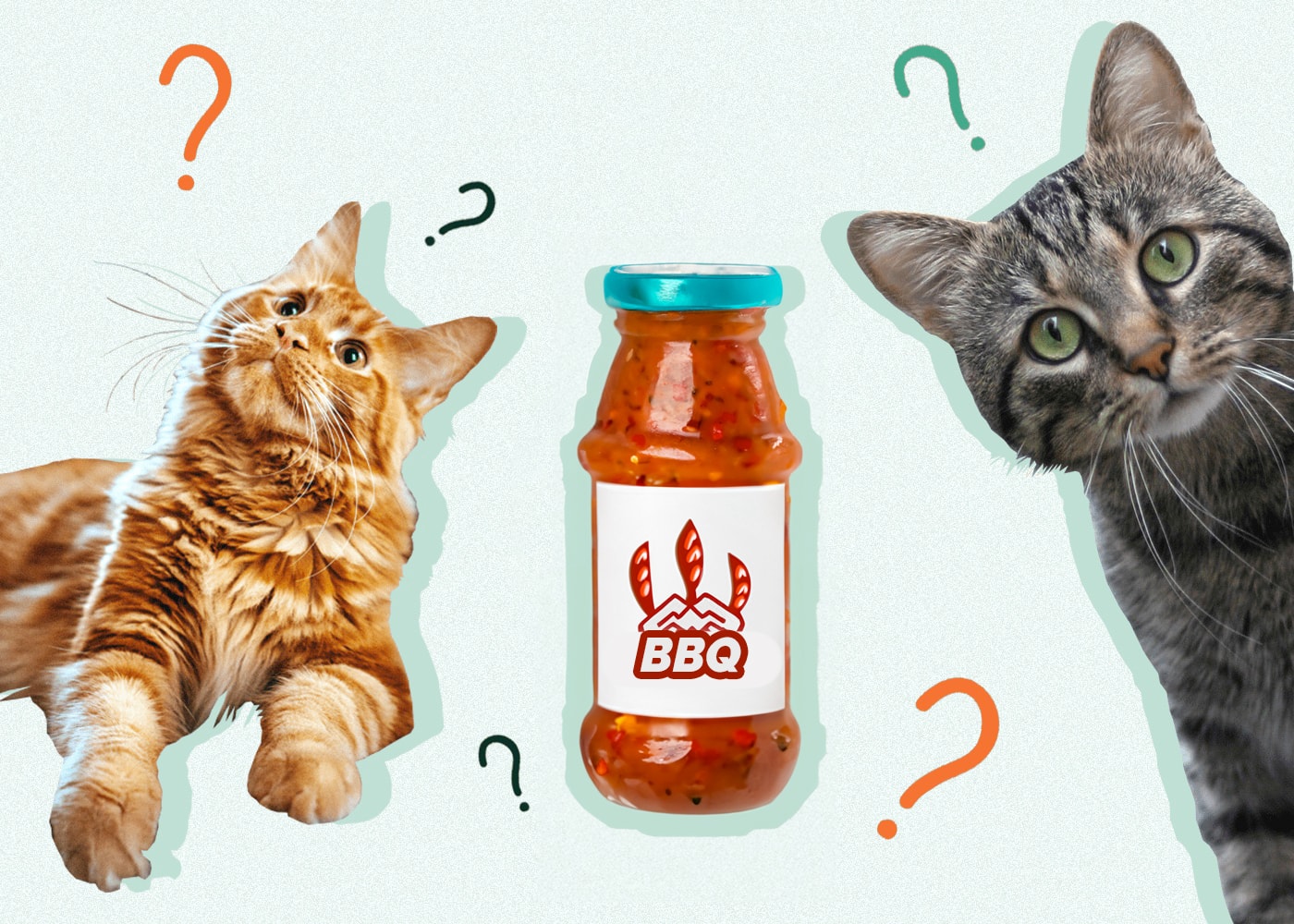 Can Cats Eat BBQ SAUCE