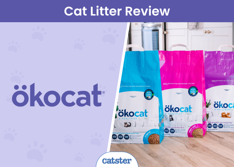 CAT_SAPR_Okocat Cat Litter