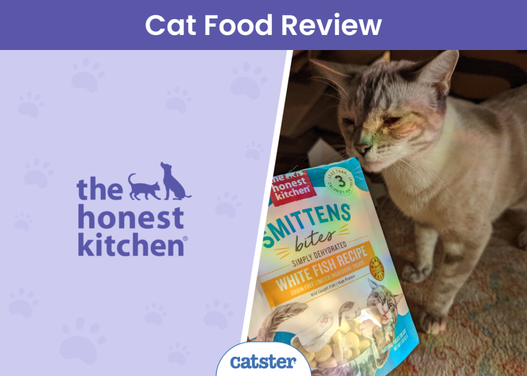 The Honest Kitchen Cat Food Review in 2026: Pros, Cons, Final Verdict