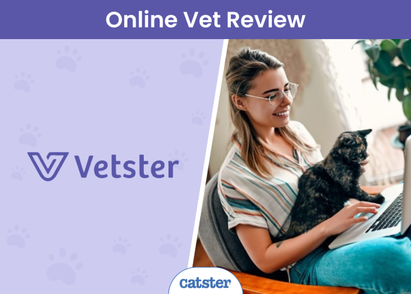 24 7 ONLINE VET APPOINTMENTS visual data 6