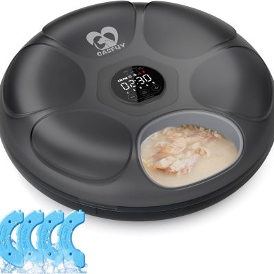 Casfuy Automatic Cat Feeder