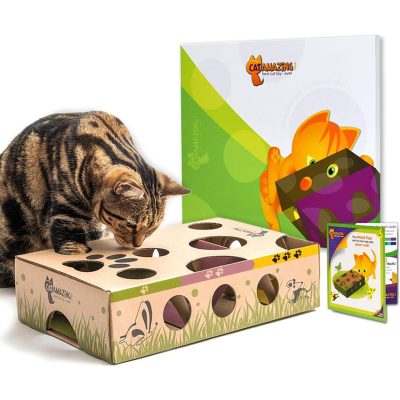 Cat Amazing Interactive Treat Maze