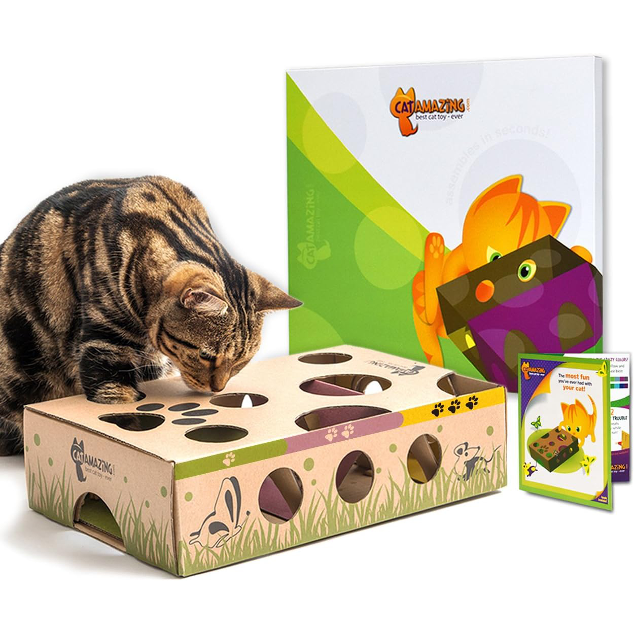 Cat Amazing Interactive Treat Maze & Puzzle Game for Cats