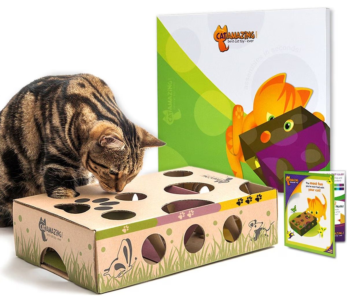 Cat Amazing Interactive Treat Maze & Puzzle Toy