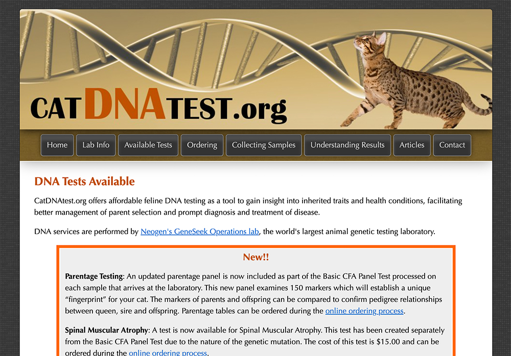 Cat DNA Test