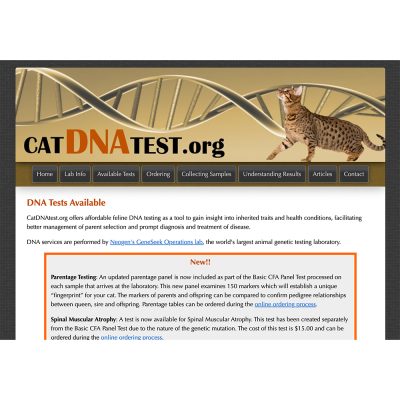 Cat DNA Tests