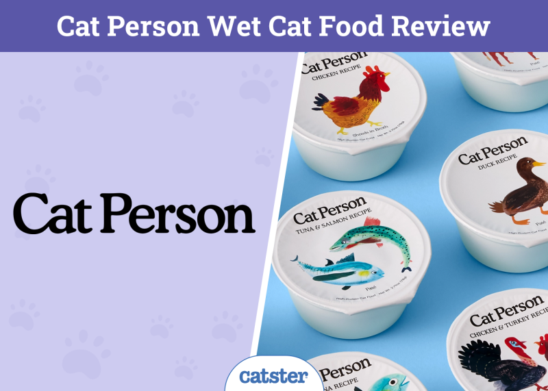 Cat Person Wet Cat Food Review