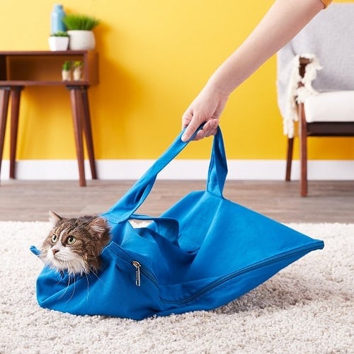 Beautiful Transparent portable cat carrier Bag