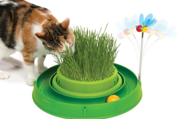 Catit Play Interactive Grass Circuit