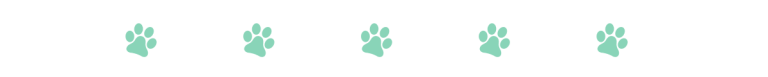 IMHA in Cats: Signs, Causes & Care (Vet-Reviewed) - Catster