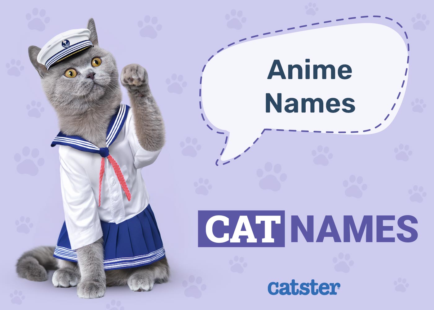 Anime Cat Names
