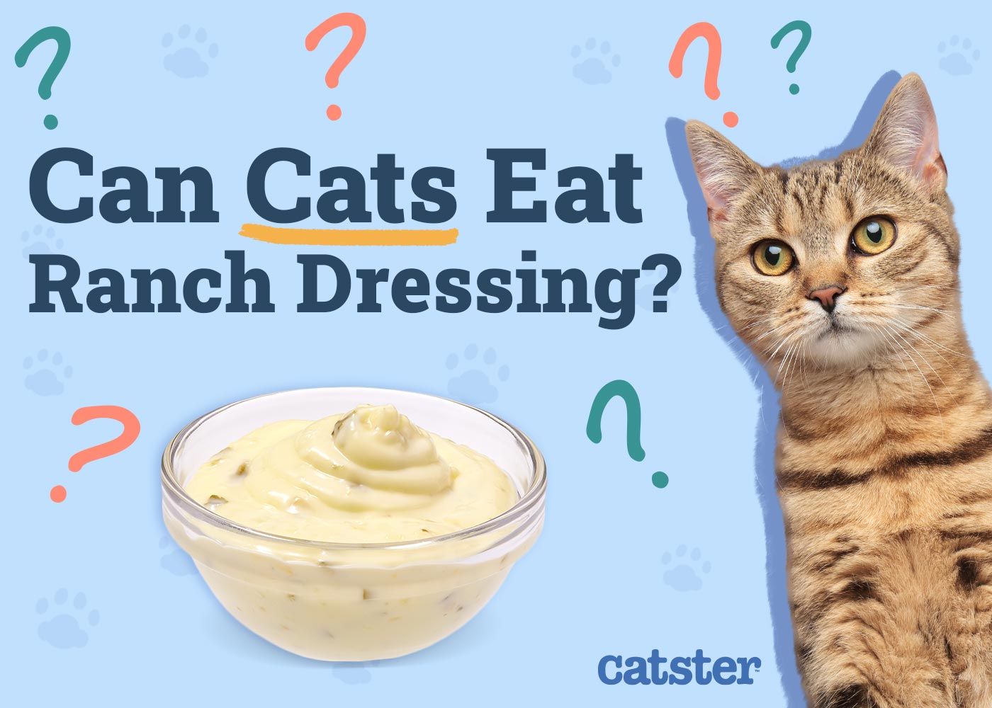 Can Cats Eat Ranch Dressing