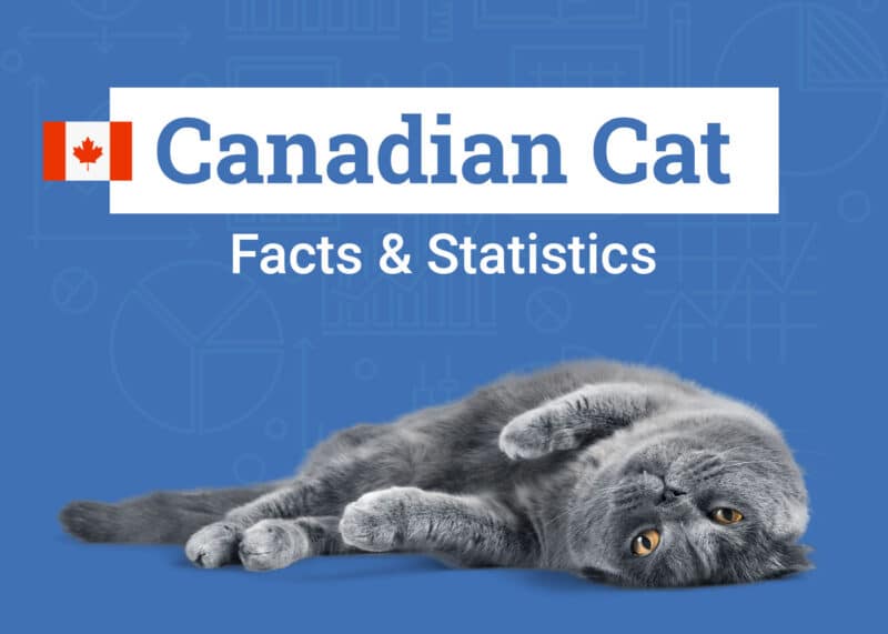 Canadian Cat Statistics