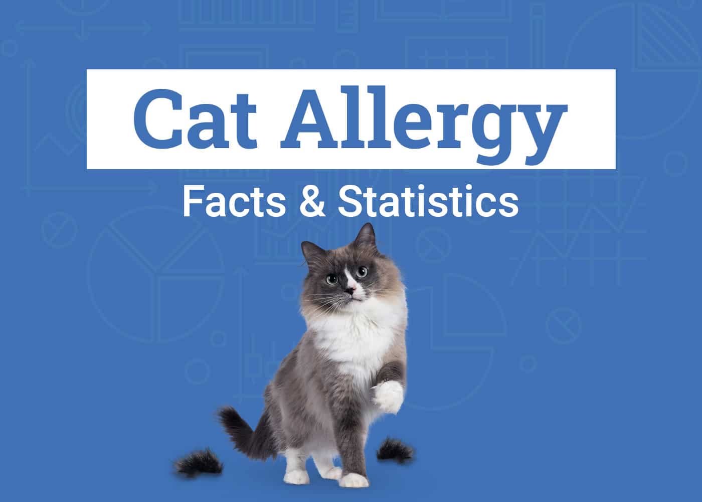 Cat Allergy Statistics