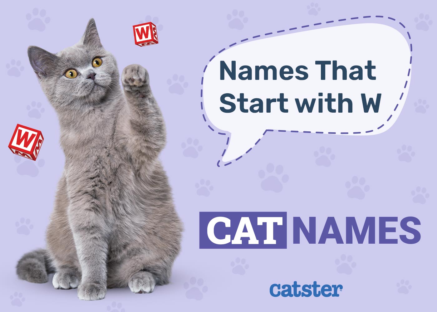 Cat Names That Start with W
