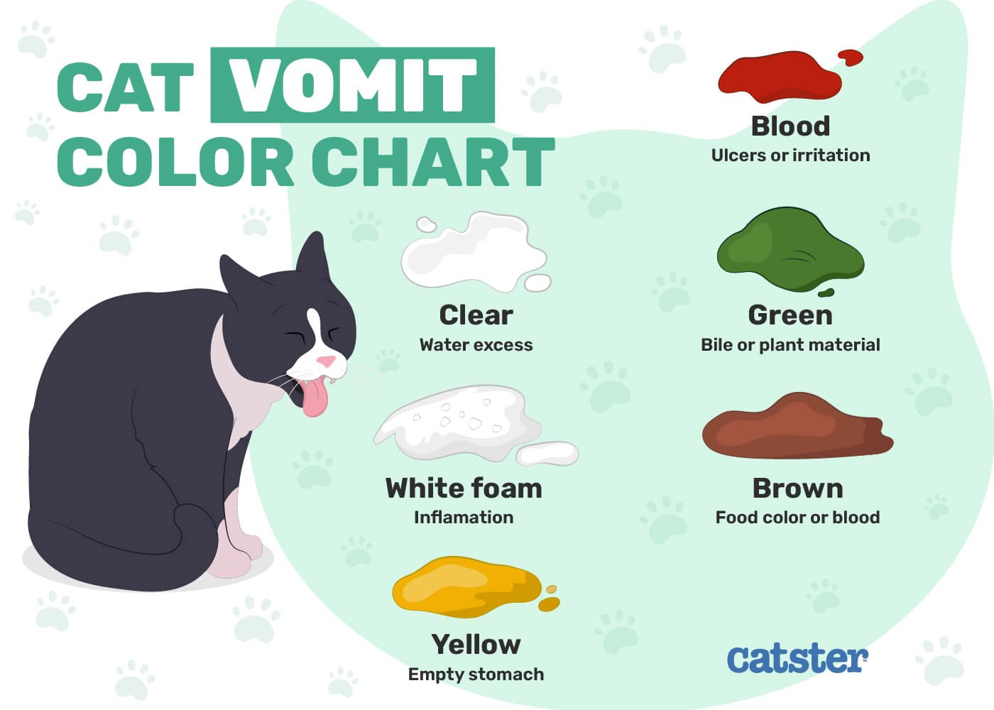 Catster_Cat Vomit Color Chart_2