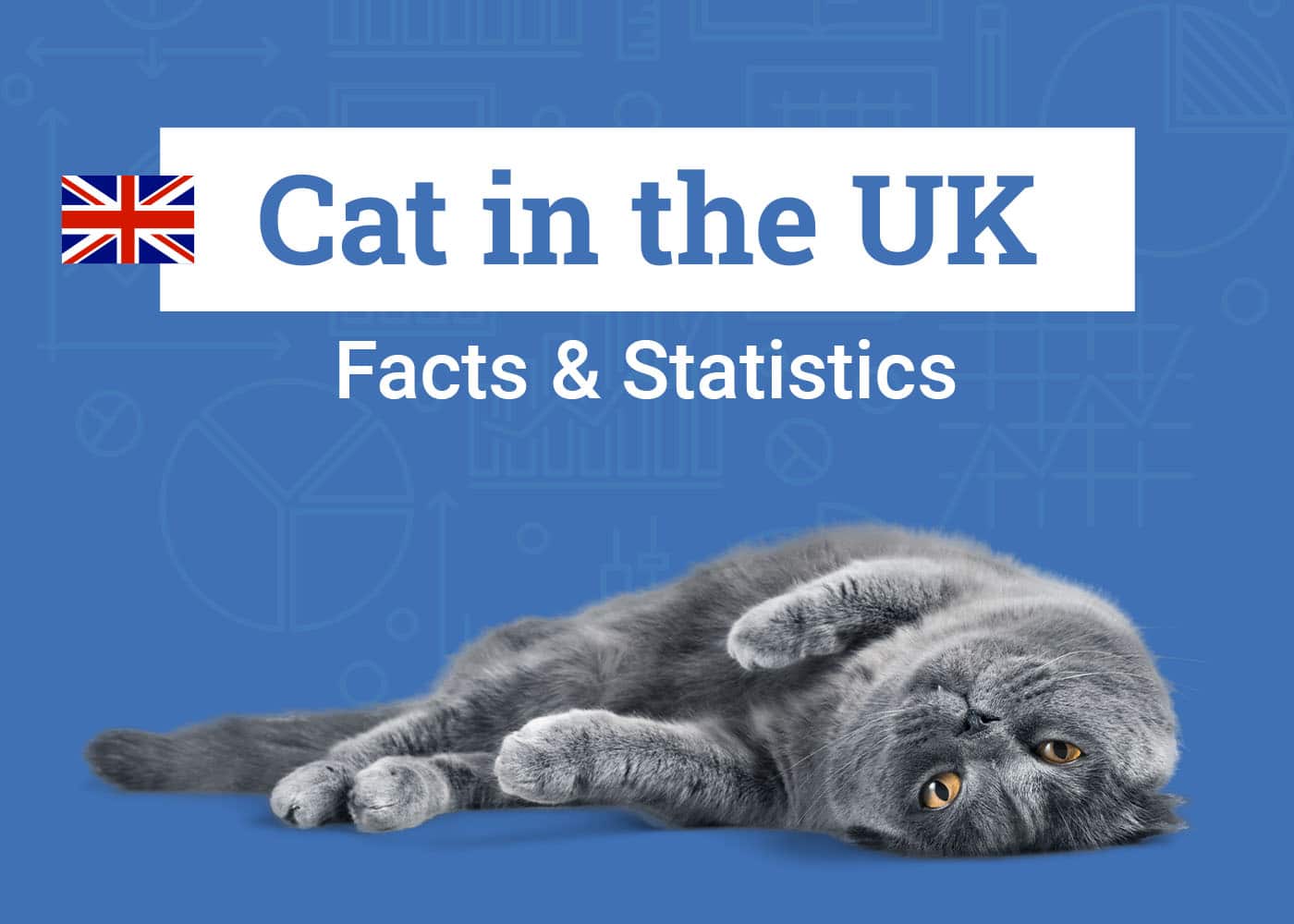 Cat in the UK Statistics