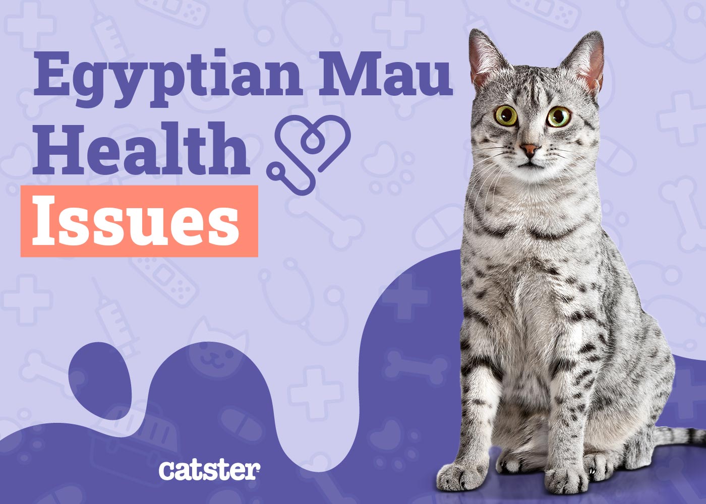 Egyptian Mau Health Problems