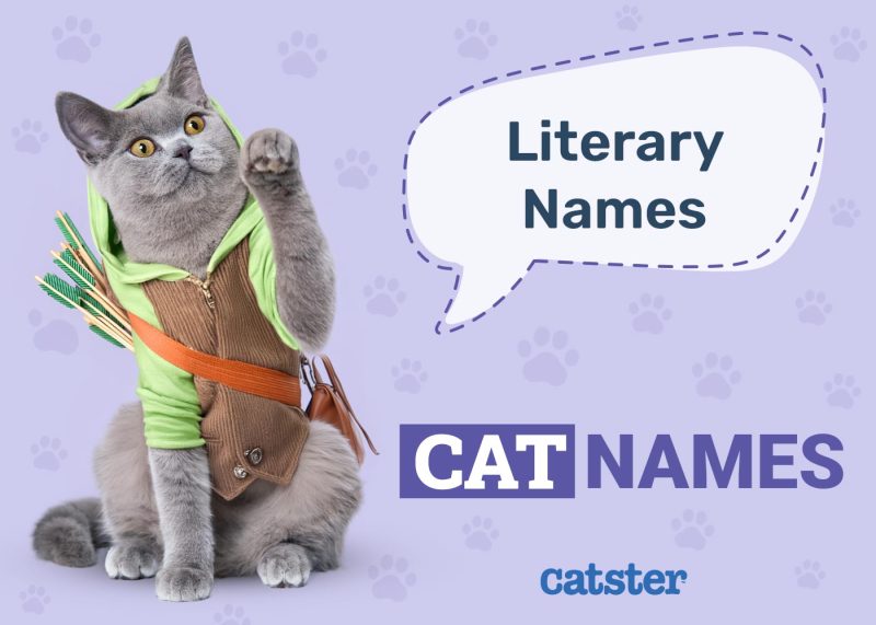 Literary Cat Names
